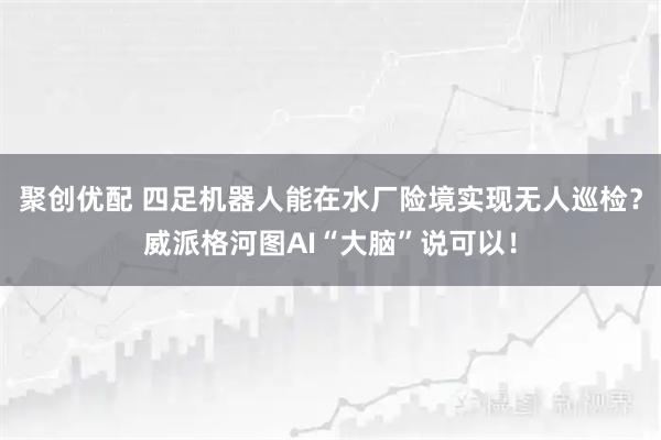聚创优配 四足机器人能在水厂险境实现无人巡检?威派格河图AI“大脑”说可以!