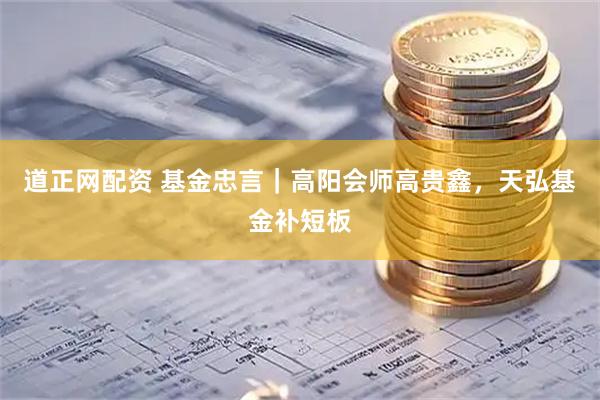 道正网配资 基金忠言|高阳会师高贵鑫,天弘基金补短板
