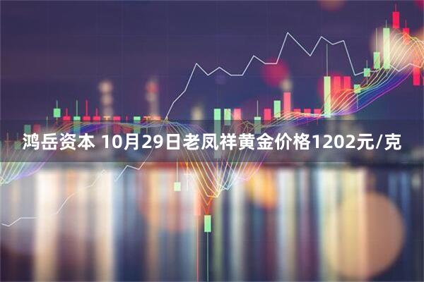 鸿岳资本 10月29日老凤祥黄金价格1202元/克
